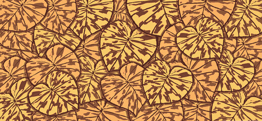 Brown  tropical leaves   background  abstract   spring,summer  nature background