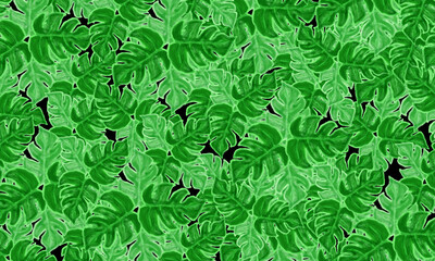 Fototapeta premium monstera leaves watercolor paint spring nature background