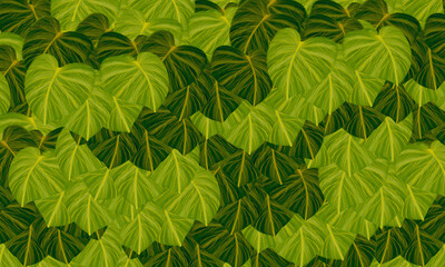 green tropical leaves    abstract   spring,summer  nature background