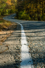 A white solid line of markings on a winding country road. In the background a blurry autumn forest. Bottom foreshortening.
