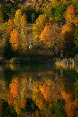 Autumn on the lake with reflection
