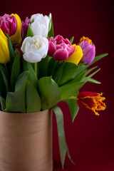 Mix of spring tulips flowers. Bouquet in a vase. Multi-colored spring flower. Gift. Red, pink, white and yellow. Background with flowers tulips close-up different colors.