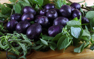 Violet potatoes