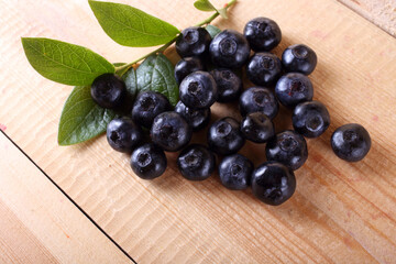 Blueberry harvest