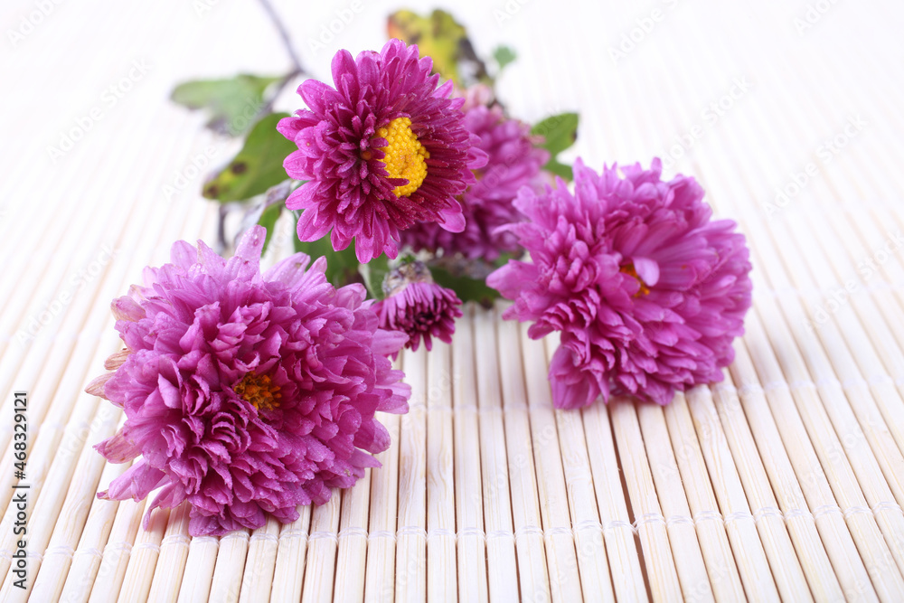 Poster Chrysanthemum on bamboo background