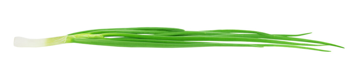Fresh green onion isolated on white background.