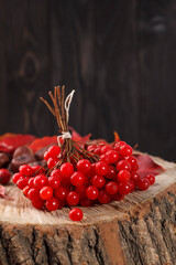 A bunch of red common mountain ash on a wooden table