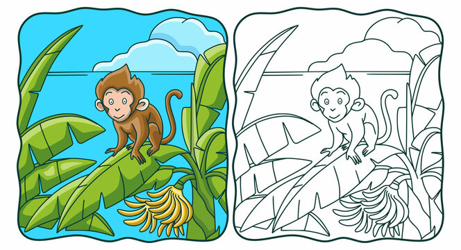 cartoon illustration monkey climbing banana tree coloring book or page for kids