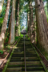 戸隠神社宝光社　社殿に続く石段