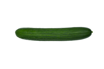 isolated cucumber on a white background