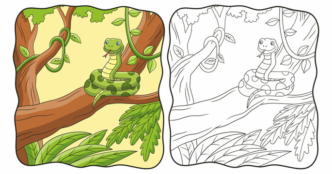 cartoon illustration the snake is on the tree book or page for kids