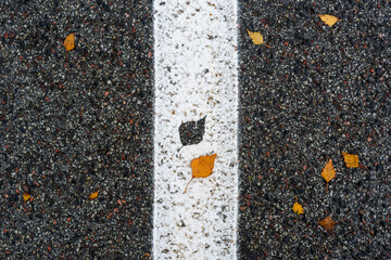 White Road median strip with leaf imprint and yellow birch leaf near it