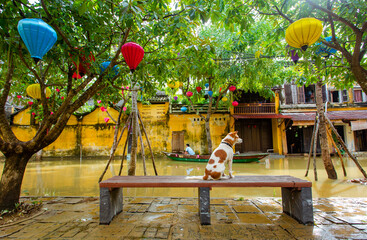 Flood in Hoi An ancient town
