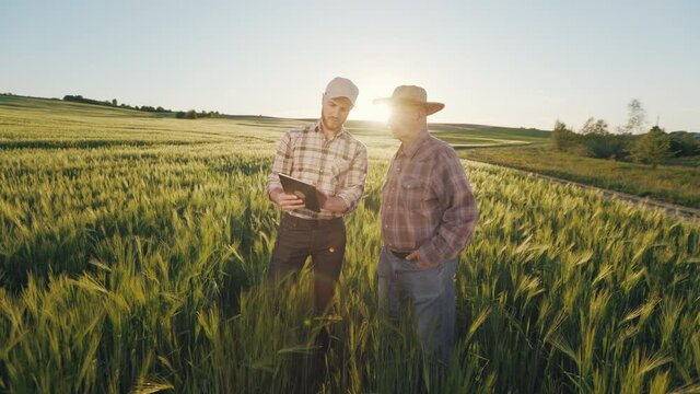 A man is showing an old farmer information on a tablet. They are discussing the harvest. Sunset in the background. The camera is approaching them. 4K