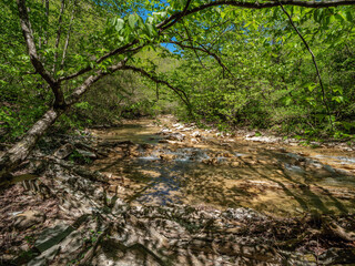 The North Caucasus. Mountain river Zhane in the springtime.