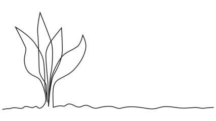Single continuous line art growing sprout. Plant leaves seed grow soil seedling eco natural farm concept design