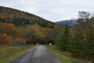 Fototapeta premium 北海道の風景
