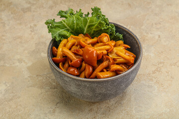 Marinated mushroom - honey agaric in the bowl