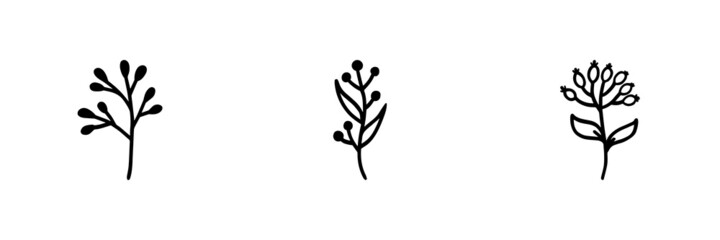 Set of 3 plant icon on white background.