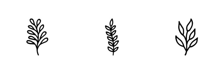 Set of 3 plant icon on white background.