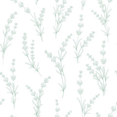 Seamless pattern from flowers of lavender on a white background.