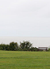 Portrait image of bench overlooking grass with sea behind on dull day