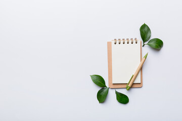 eco-friendly Empty notebook with pen and green leaf on Colored background for note