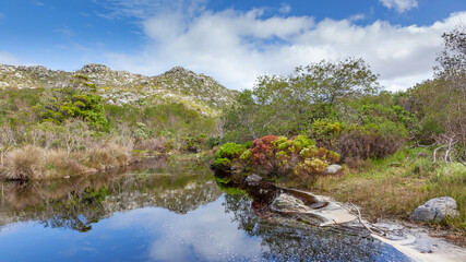 Fototapeta na wymiar Silvermine Area of Table Mountain National Park