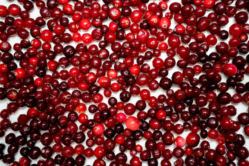 A lot of cranberries close up on a white background
