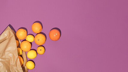 Trendy mockup or wallpaper with citrus fruit. Oranges, grapefruits and lemons fall out of a paper bag on a pastel purple background. Modern fruit arrangement. Creative flat lay concept.