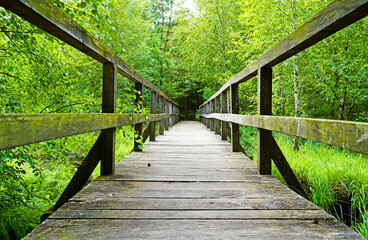 Obraz premium Groundless moor in Lower Saxony. Nature reserve with a wooden bridge in a moor landscape
