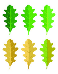 set of leaves, green to yellow, seasons, vector illustration 