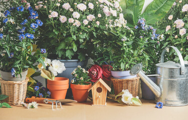 Gardening background with birdhouse, gardening utensils, potted flowers , plants and watering can. Front view. © VICUSCHKA
