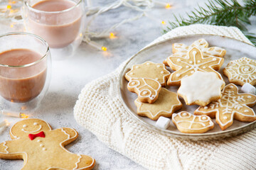 Gingerbread cookies with different figures on a plate