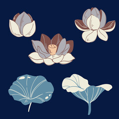Vector set of hand drawn lotus flowers and leaves. Sketch floral botany collection in graphic