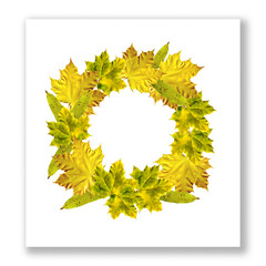 Autumn natural, living wreath with yellow maple and willow leaves. Bright lush autumn wreath frame. Blank template invitation, greeting card.