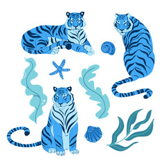 Set of adult big blue tiger vector flat illustration isolated on white background