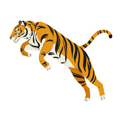 Amur tiger jumping isolated on white background. Vector tiger side view. Endangered animal