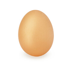chicken egg isolated on white background. close-up