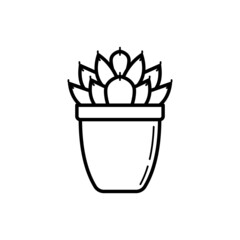 Succulent echeveria in pot thin line icon. Modern vector illustration of home plant.
