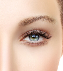 Obraz premium female blue eyes with makeup and long eyelashes