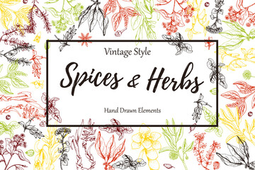 Hand-drawn frame or card with place for text with medicinal herbs, spice and flowers, vector vintage illustration.