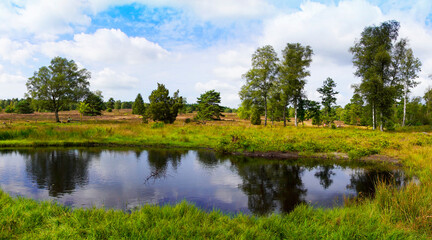 Fototapeta na wymiar Weseler Heide nature reserve. Green landscape with ponds near the Lueneburg Heath.