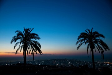 two palm trees in front of the distant city of Beirut during sunset