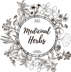 Hand-drawn frame or card with place for text with medicinal herbs, spice and flowers, vector vintage illustration.