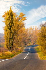 Obraz premium country road at sunrise. beautiful mountain scenery in fall season. trees in colorful foliage along the way. sunny weather with clouds on the sky