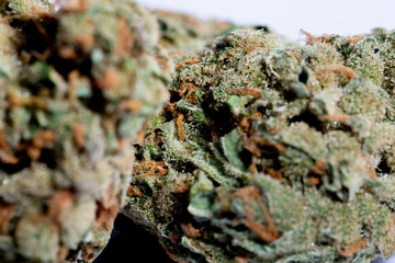 close up flower buds cannabis Background, marijuana, weed