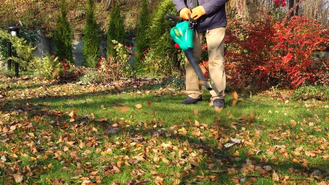 Leaves on the lawn are blown away. Cleaning the Autumn Leaves with a Leaf Blower. A man removes yellow fallen leaves from a green lawn. . High quality 4k footage