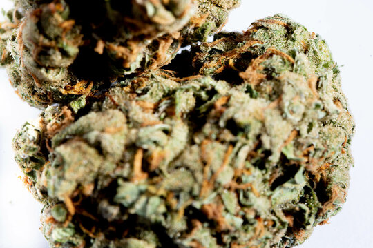 close up flower buds cannabis Background, marijuana, weed