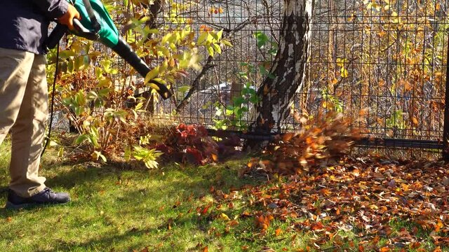 Cleaning the Autumn Leaves with a Leaf Blower. Leaves on the lawn are blown away. A man removes yellow fallen leaves from a green lawn. . High quality 4k footage